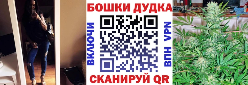 Метадон Котлас