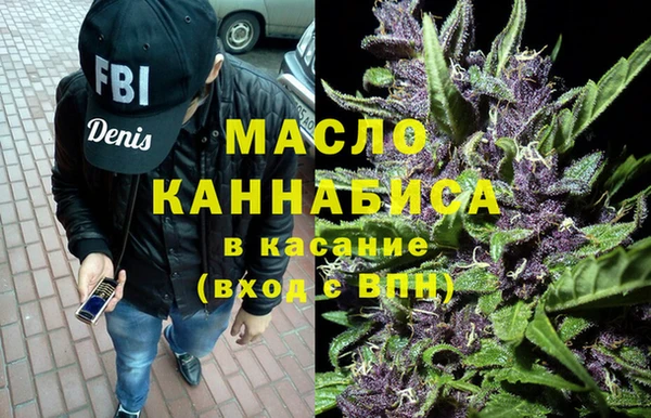 индика Коряжма