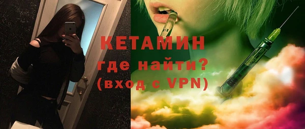 индика Краснослободск