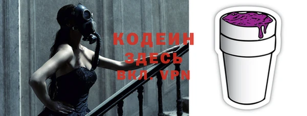 хмурый Корсаков