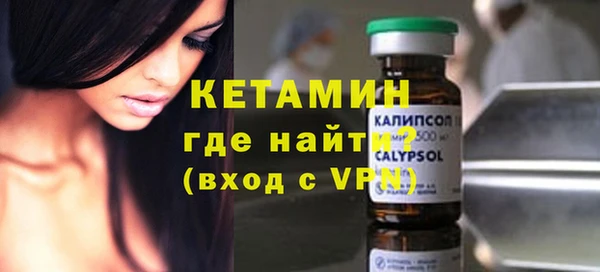 индика Коряжма