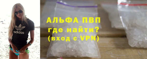 хмурый Корсаков