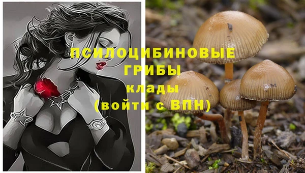 индика Коряжма