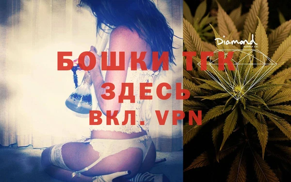 индика Коряжма