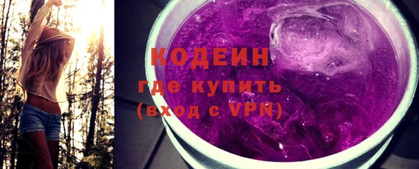 индика Коряжма