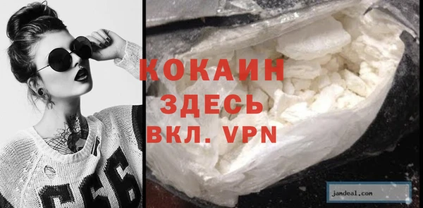 хмурый Корсаков