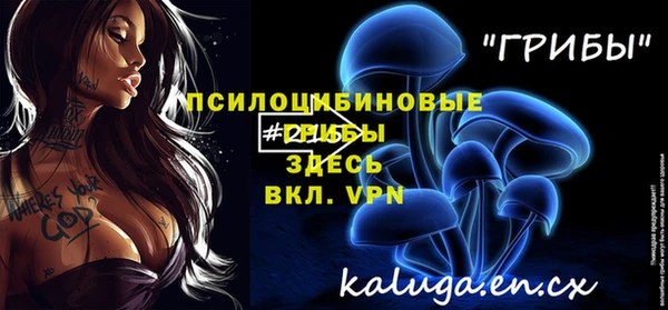 индика Коряжма