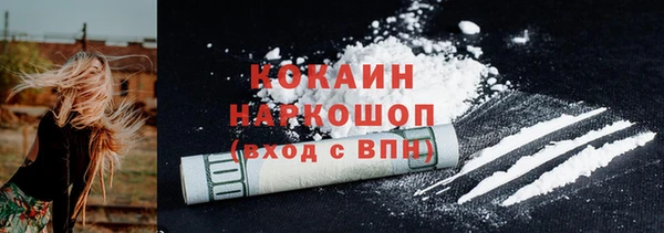 индика Коряжма