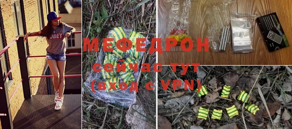 индика Краснослободск