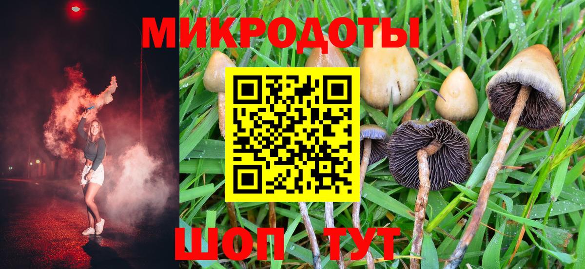 Котлас  где можно купить   Вход с VPN  Псилоцибиновые грибы Magic Shrooms 