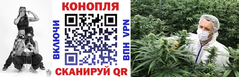 наркотики  Котлас  Канабис AK-47 